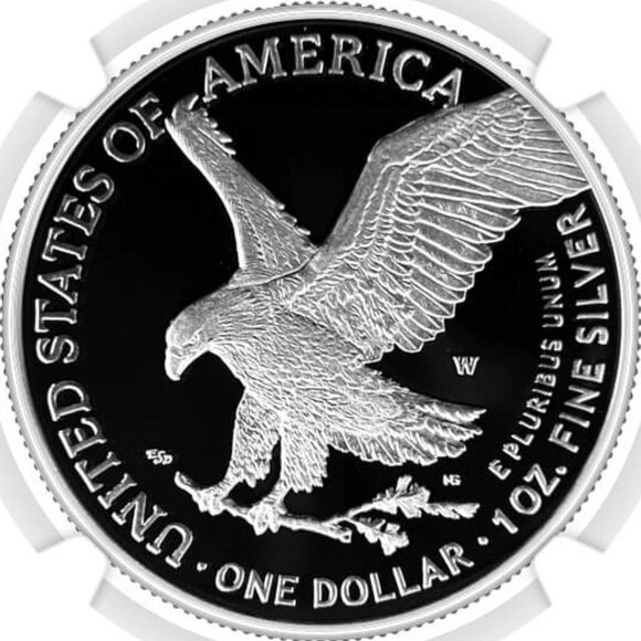 Only 100 Worldwide 2025-W $1 Proof Silver Eagle NGC PF70 UCAM Advance Releases - Picture 5 of 6